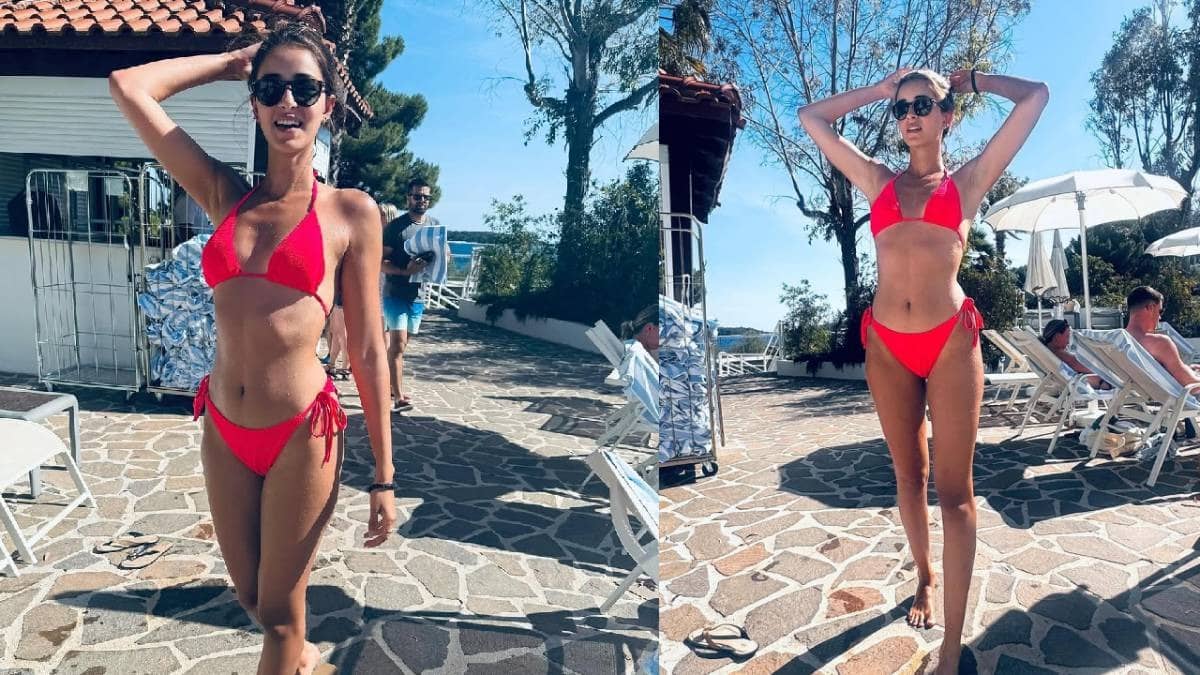 Description of the pic