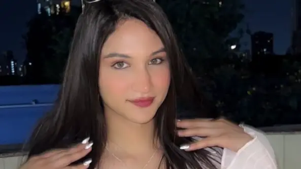 Description of the pic