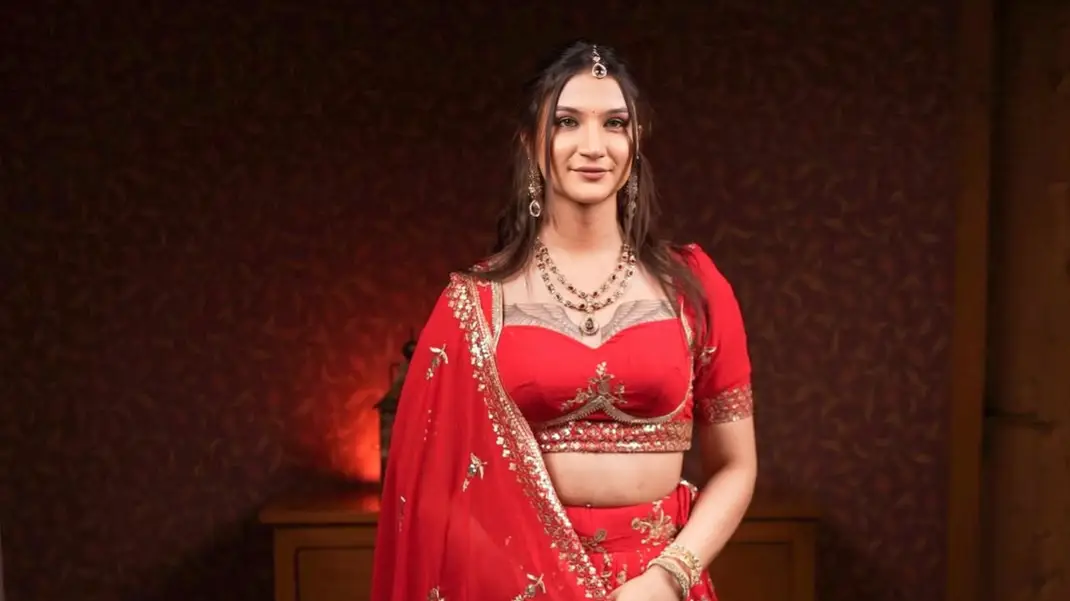 Description of the pic