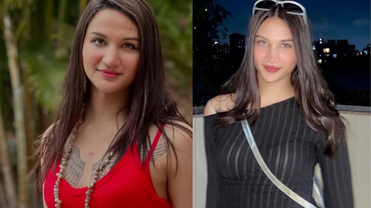 Description of the pic