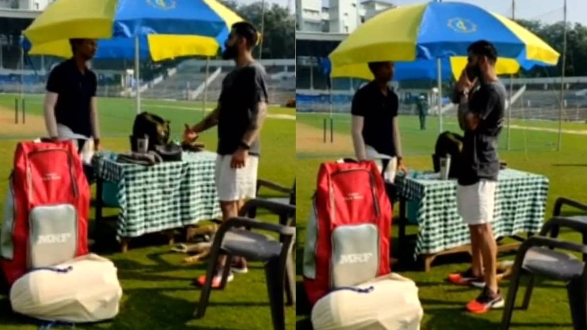 Description of the pic