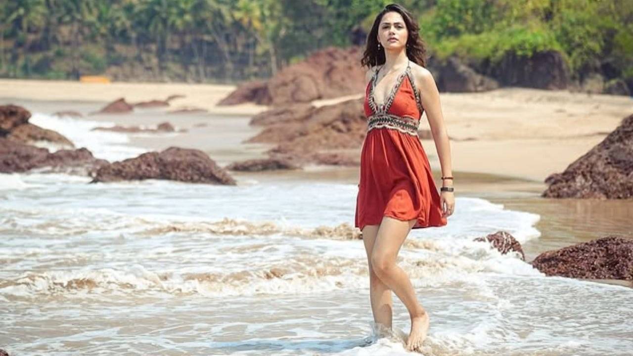 Description of the pic