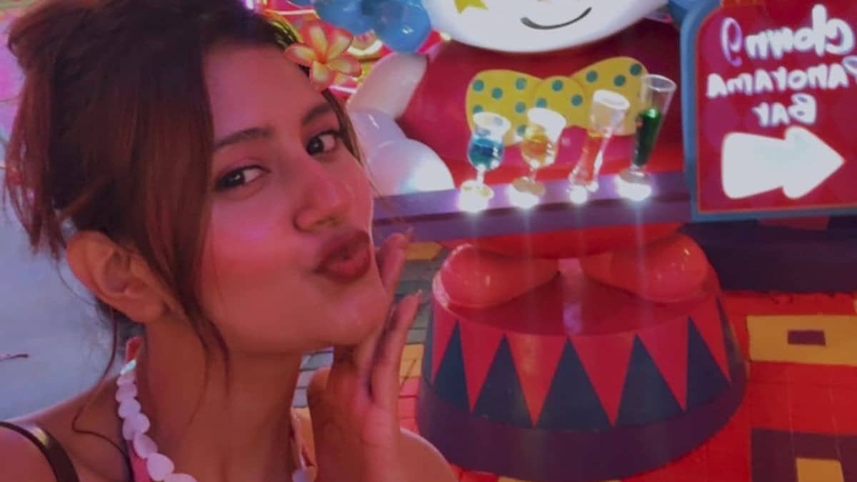 Description of the pic