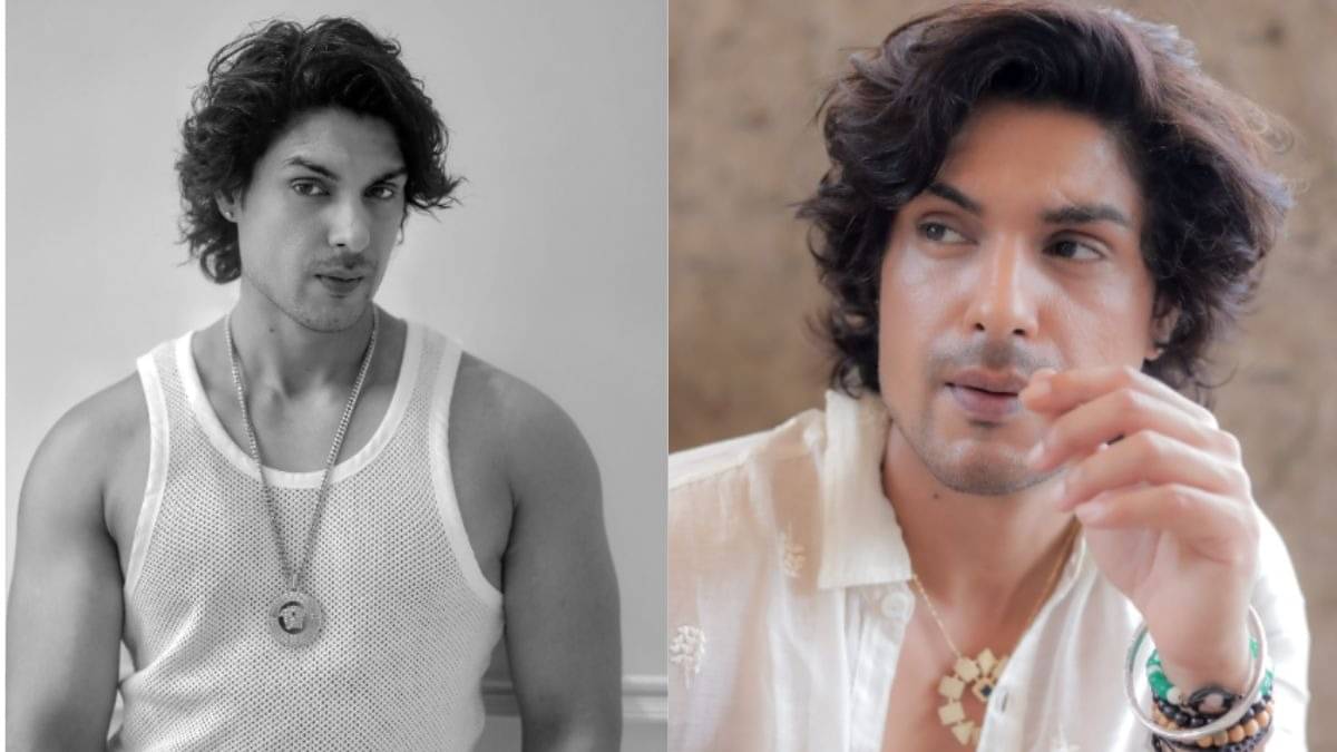 Description of the pic