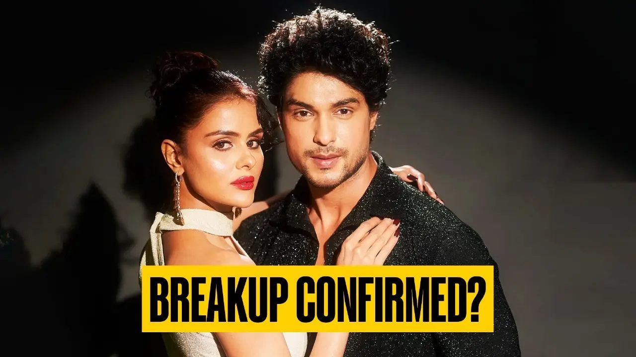 Ankit Gupta Breaks Silence On The Breakup Rumours With Priyanka Chahar Choudhary After Unfollowing Each Other On Instagram Ankit Gupta and Priyanka Chahar Choudhary Breakup?
