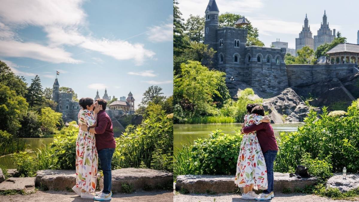 Description of the pic