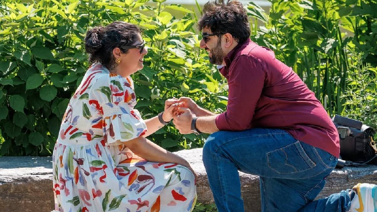 Description of the pic