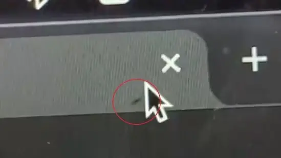 'New Work Buddy': Video of Ant Crawling Into Laptop Screen Goes Viral, Internet Wonders How? ant