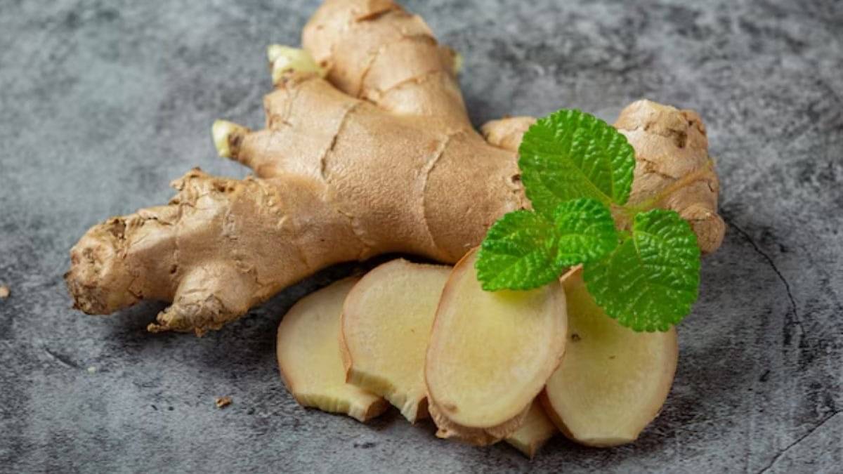 Description of the pic