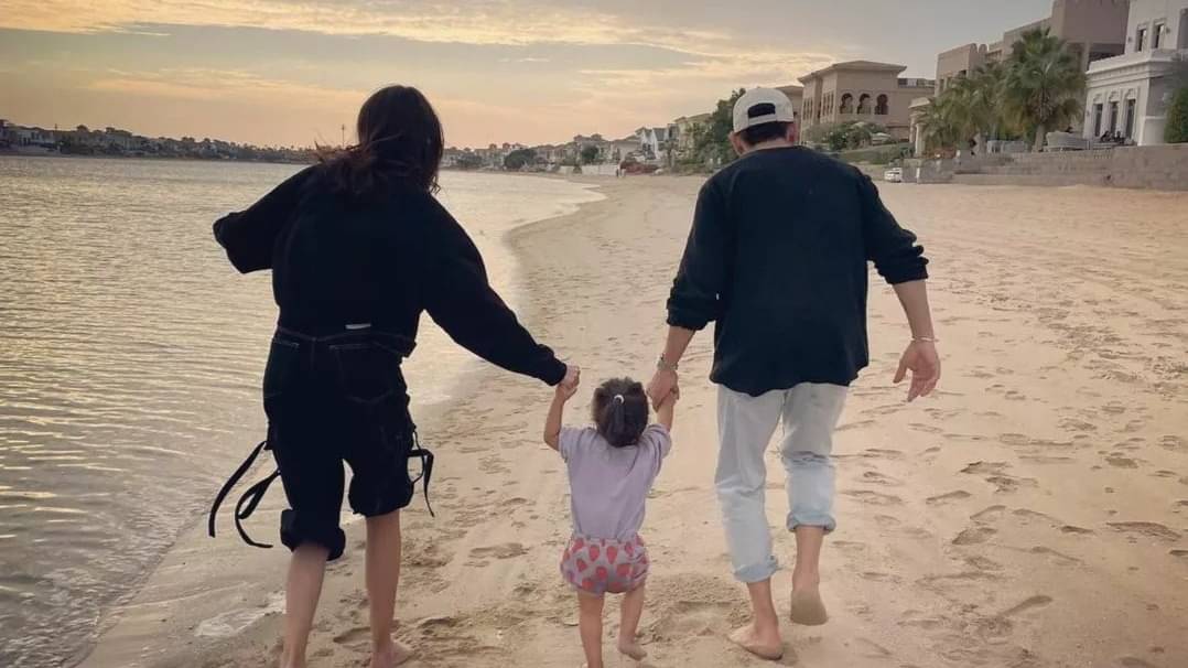 Description of the pic