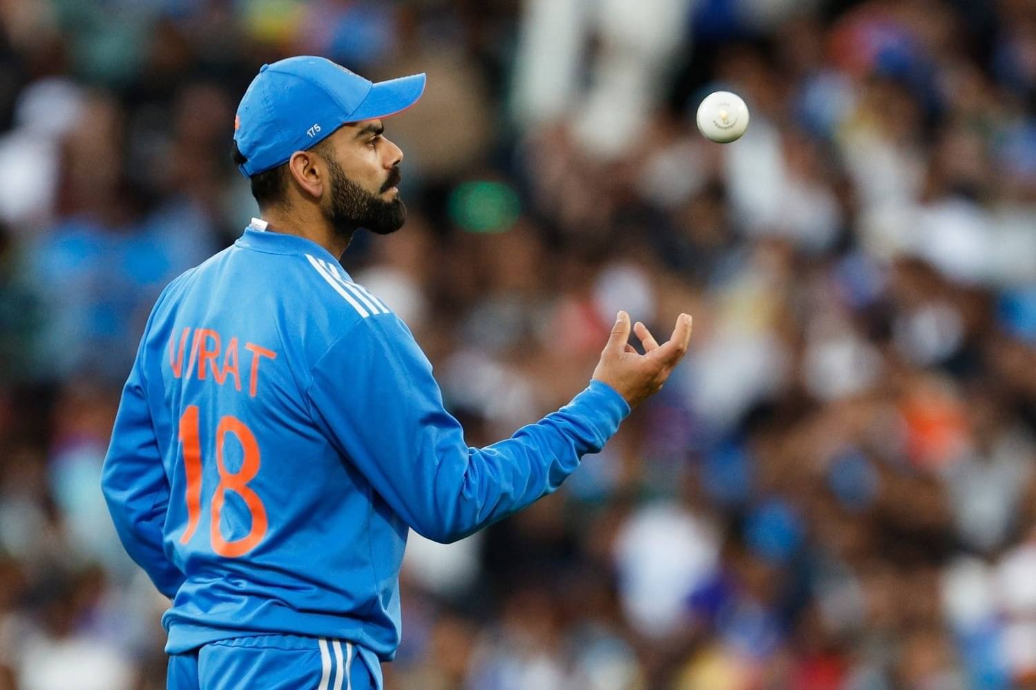 Description of the pic