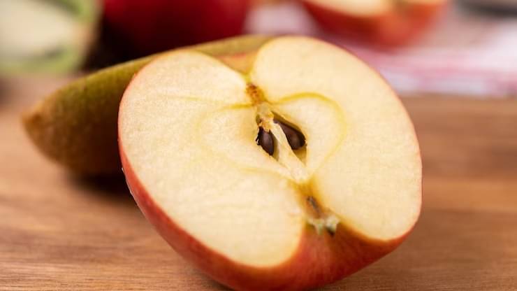 Description of the pic