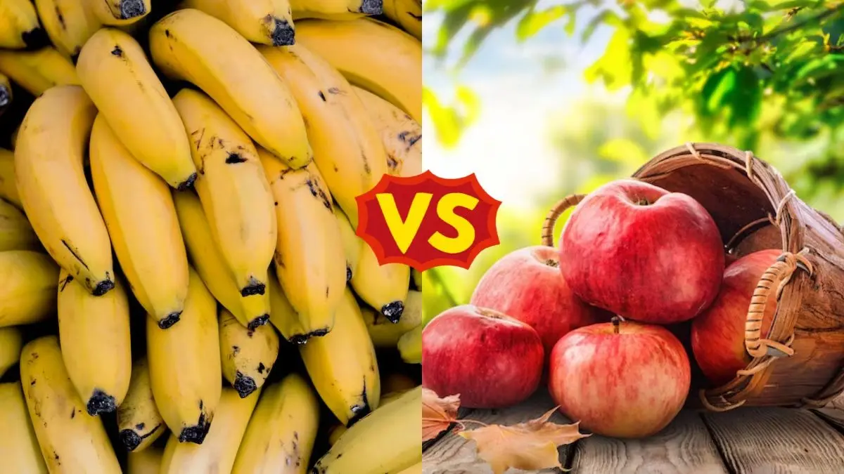 Bananas vs Apples: ब्लड शुगर को कंट्रोल करने में सेब और केला में से कौन सा फल है फायदेमंद? apple vs banana
