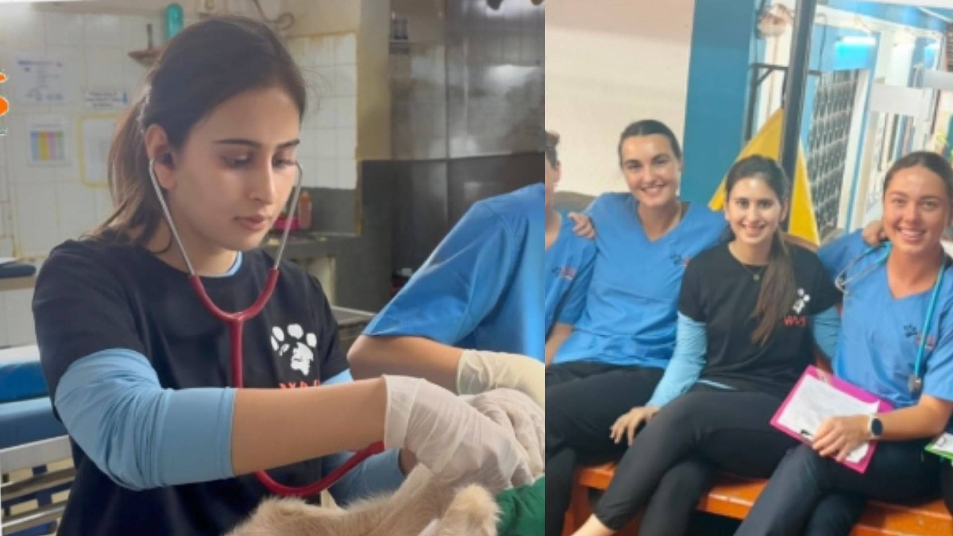 Description of the pic