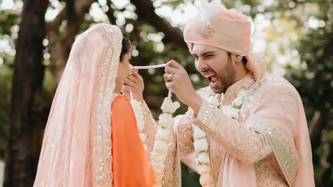 Description of the pic