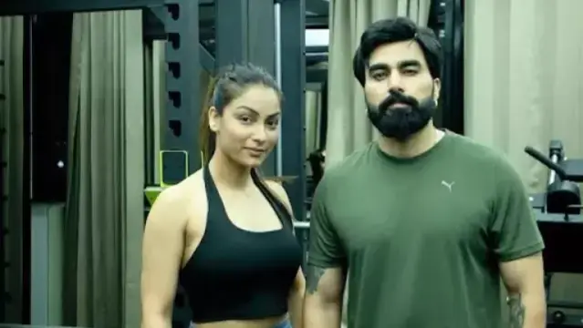 Description of the pic