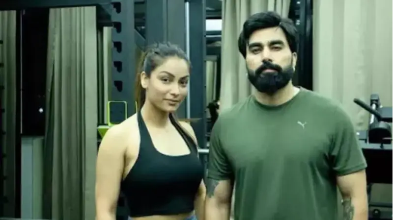 Description of the pic