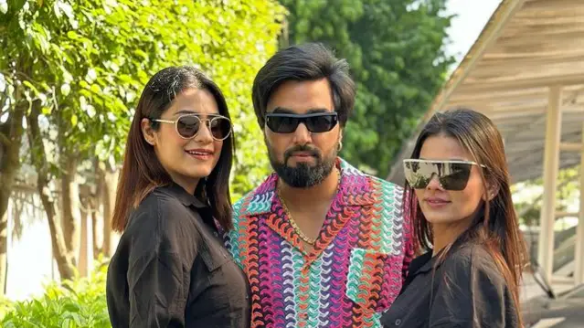 Description of the pic