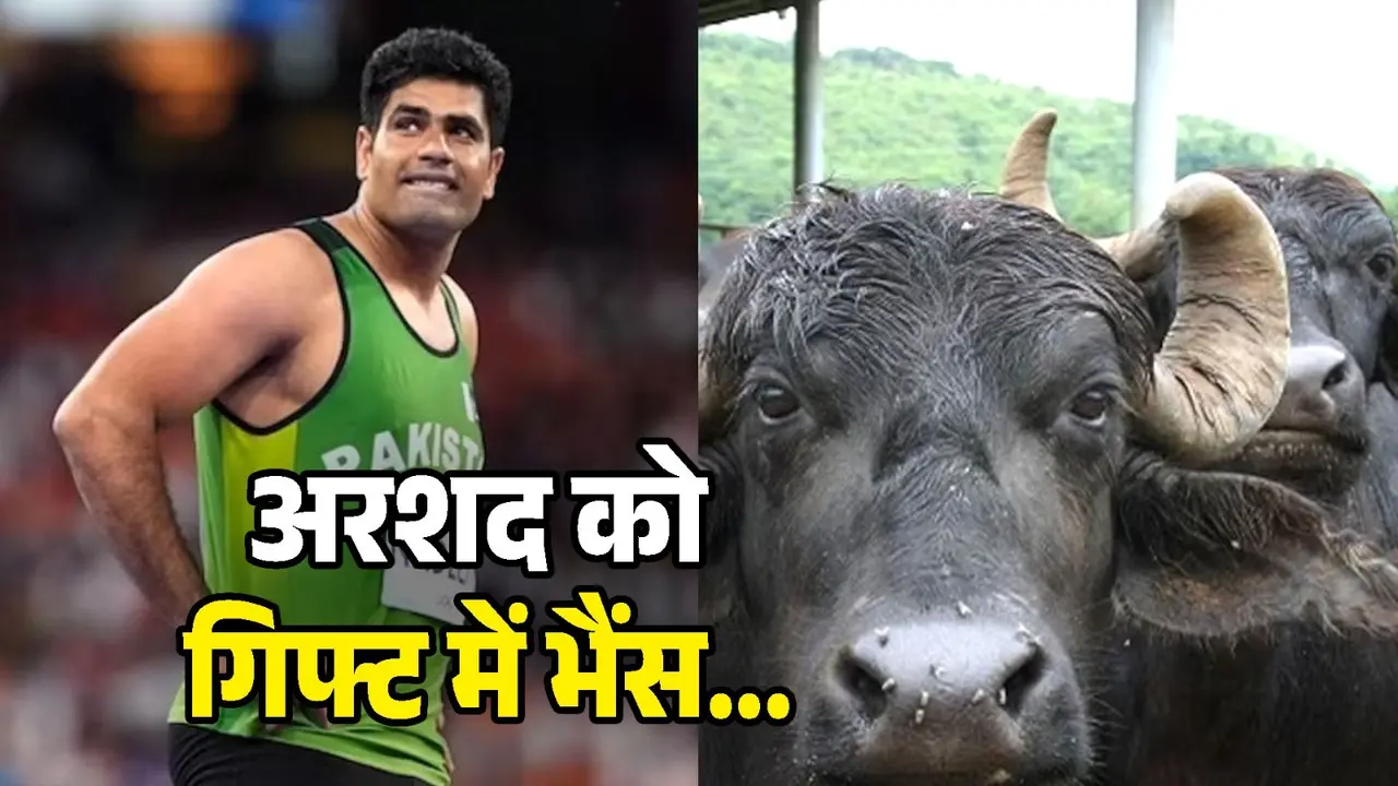 arshad nadeem father in law gift buffalo to pakistan star