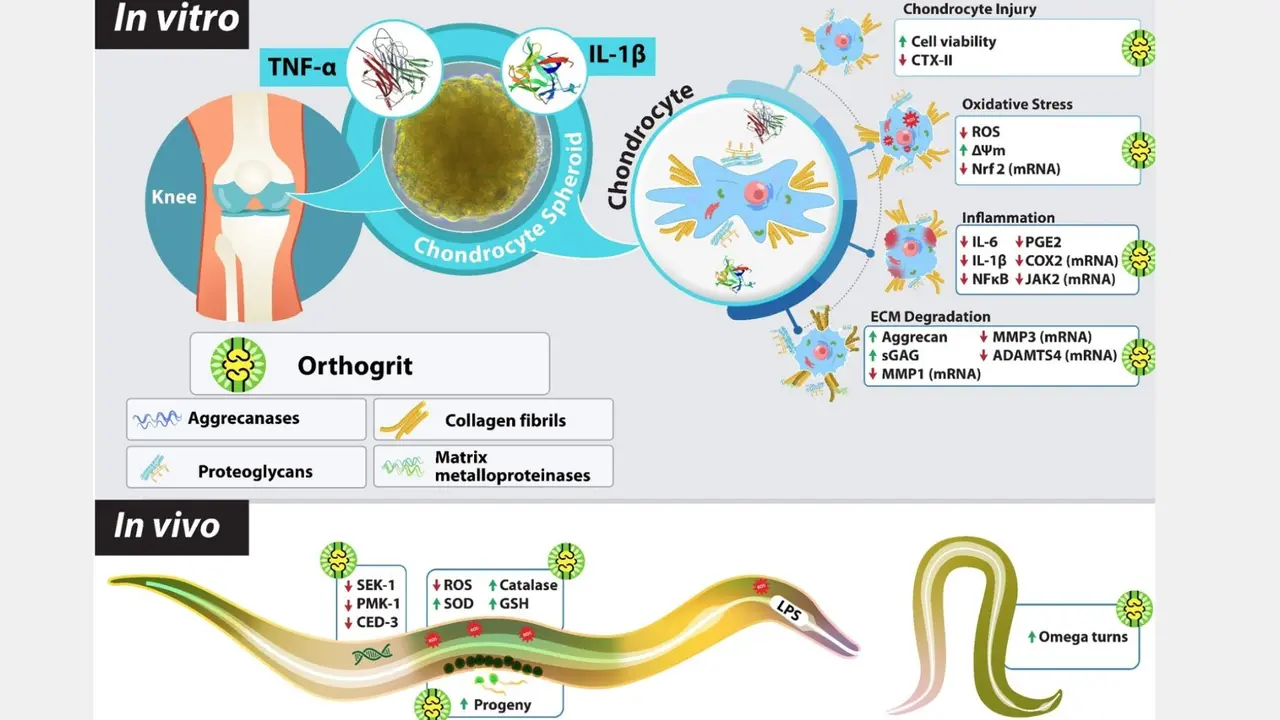 arthritis treatement