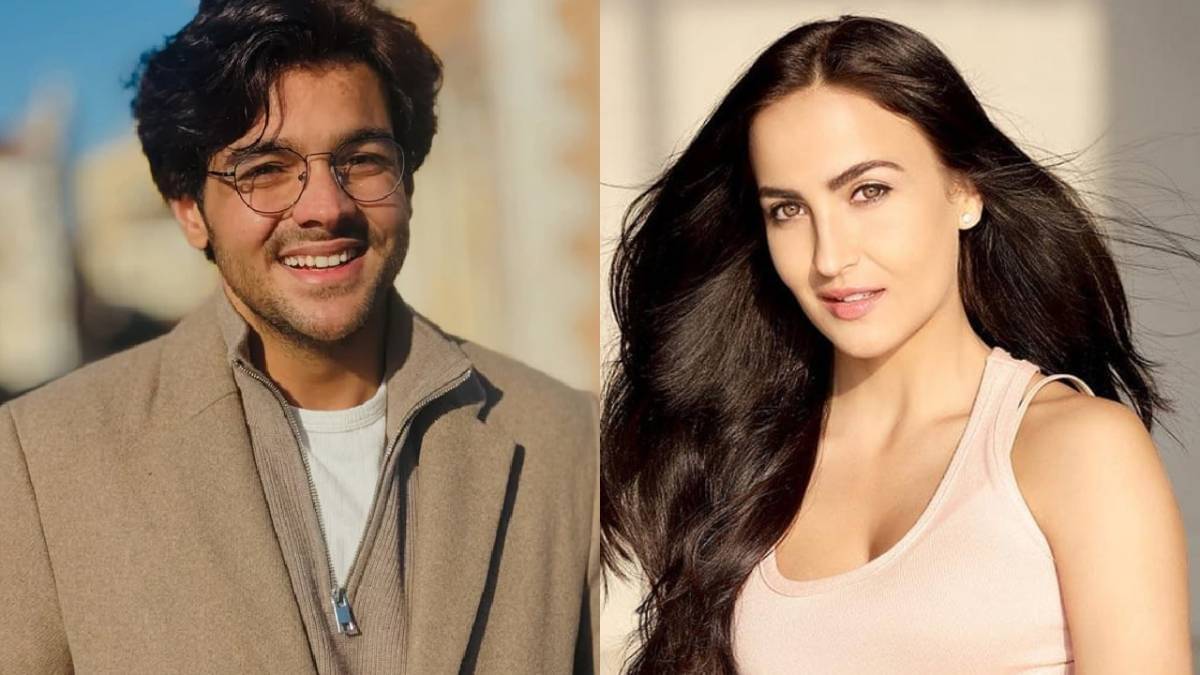 Description of the pic