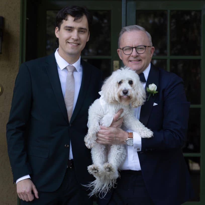 Description of the pic