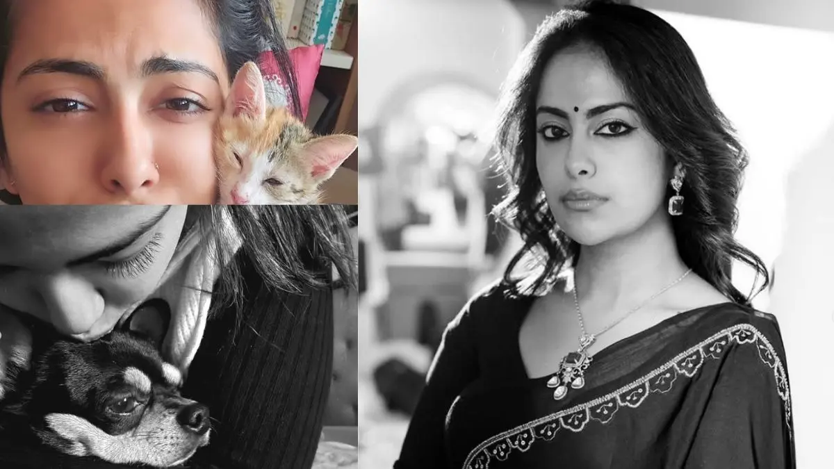 'प्यार कभी खत्म नहीं होता...', करीबी को खोने के बाद टूटा अविका गौर का दिल, ‘बालिका वधू’ फेम ने बयां किया दर्द Avika Gor emotional post