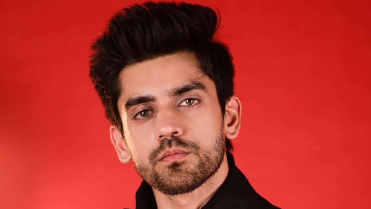 Description of the pic