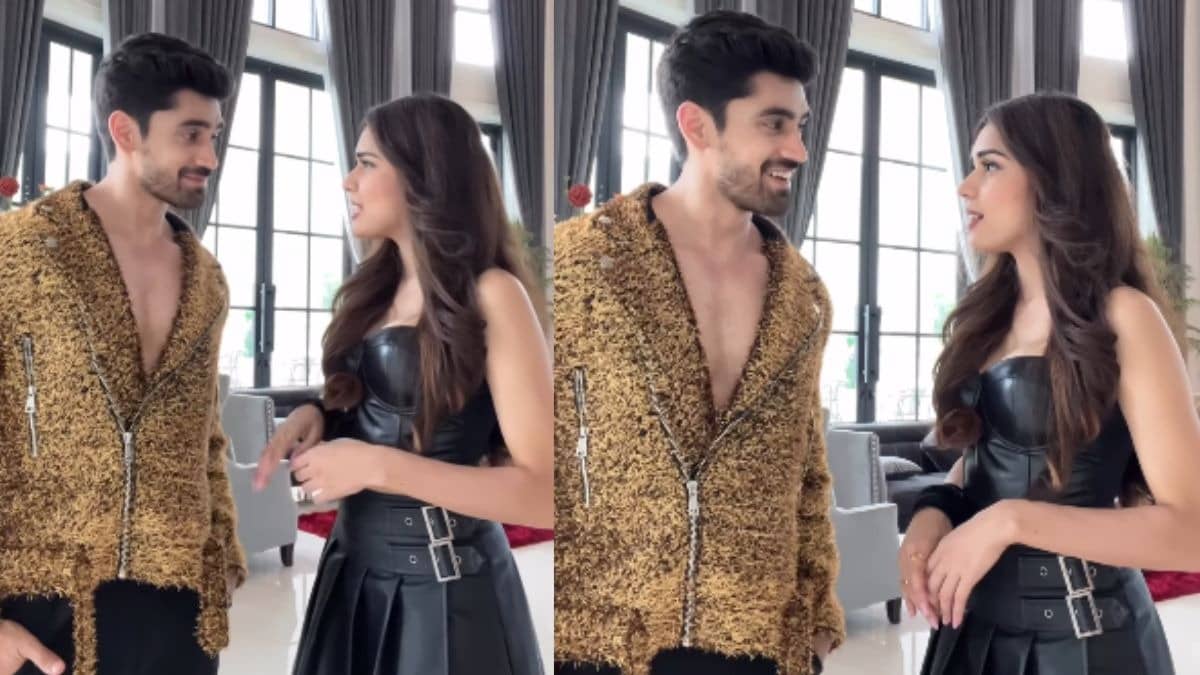 Description of the pic