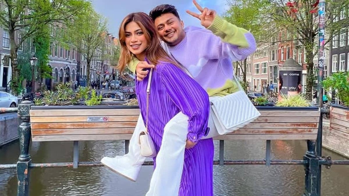 Description of the pic