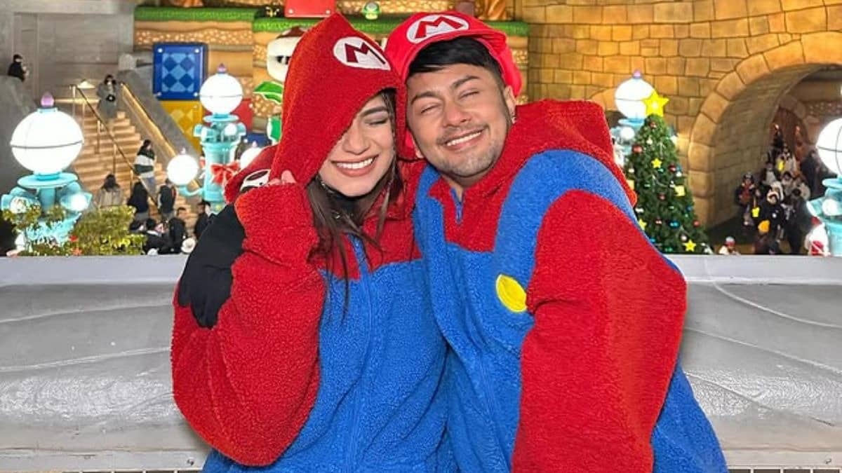 Description of the pic