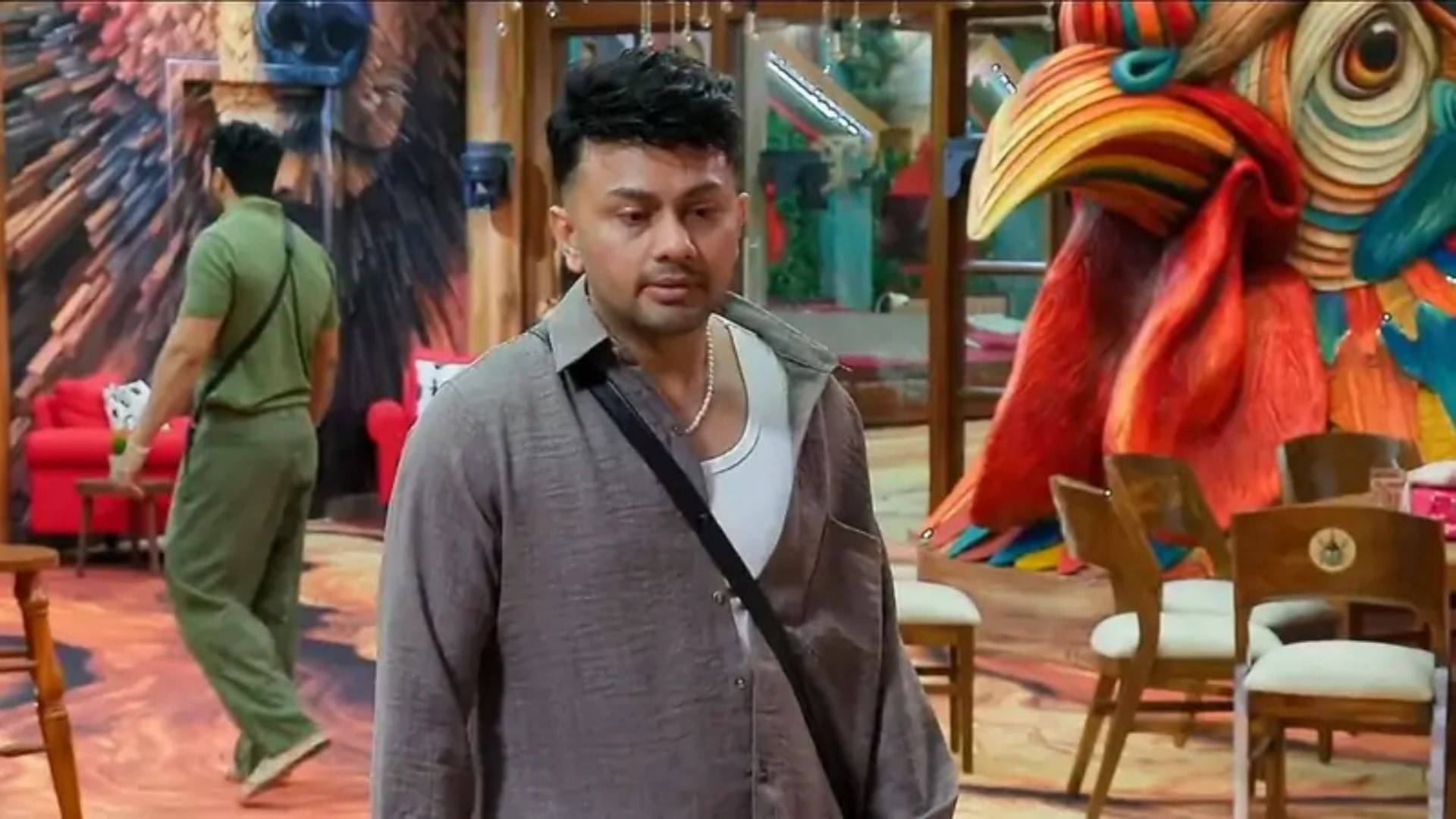 Description of the pic