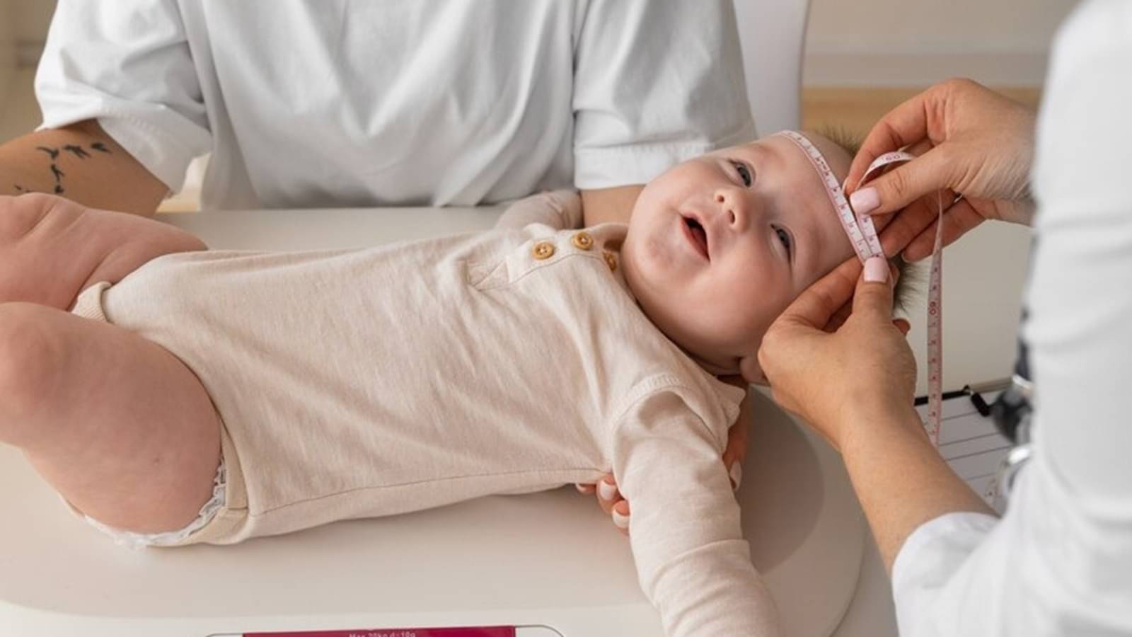 Description of the pic