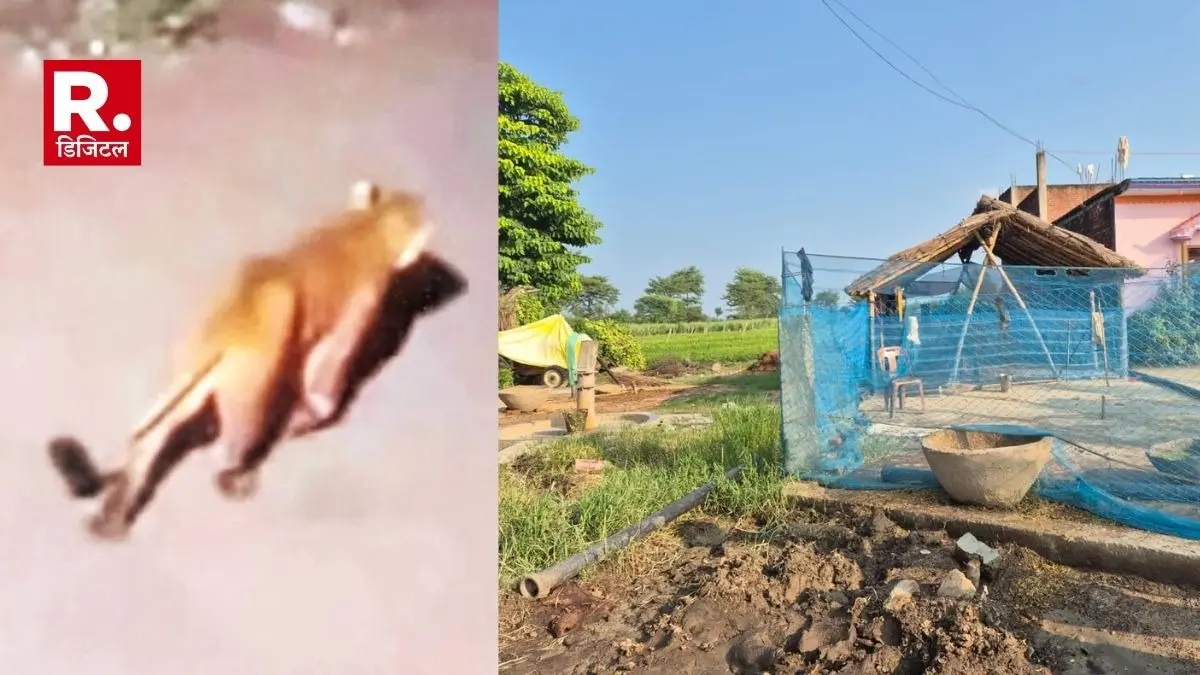 Bahraich Bhediya Attack Kaiserganj Mahsi tehsil