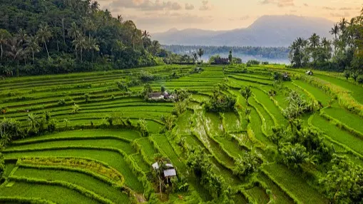 Bali's Latest Tourism Rules: What Does It Mean For Your Next Trip? Bali