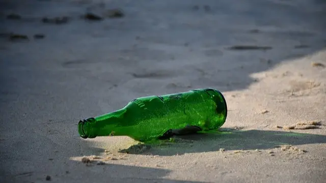 Ban Alcohol Consumption In Goa To Make It 'viksit' And To Save Lives: BJP MLA in House