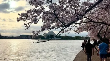 Barack Obama Drops Holiday Photos. Can You Guess The Place?