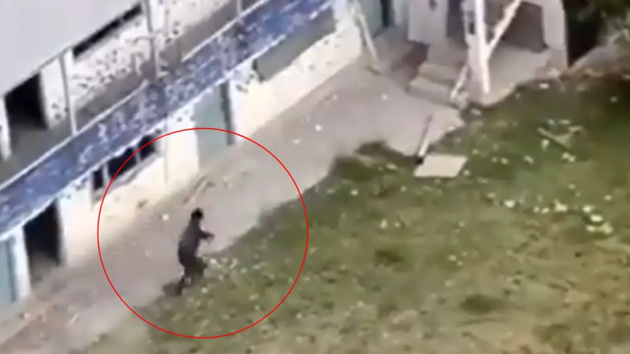 Video: Drone Footage Shows Terrorist Runs for Cover During Encounter in J&K's Baramulla Baramulla Terrorist Encounter Video