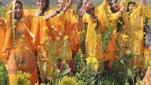 Description of the pic