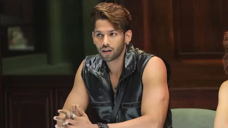 Description of the pic