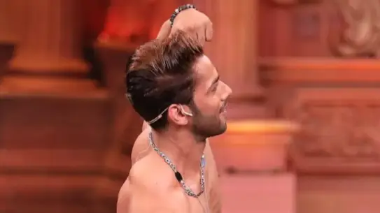 Description of the pic