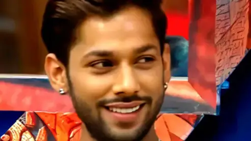 Description of the pic