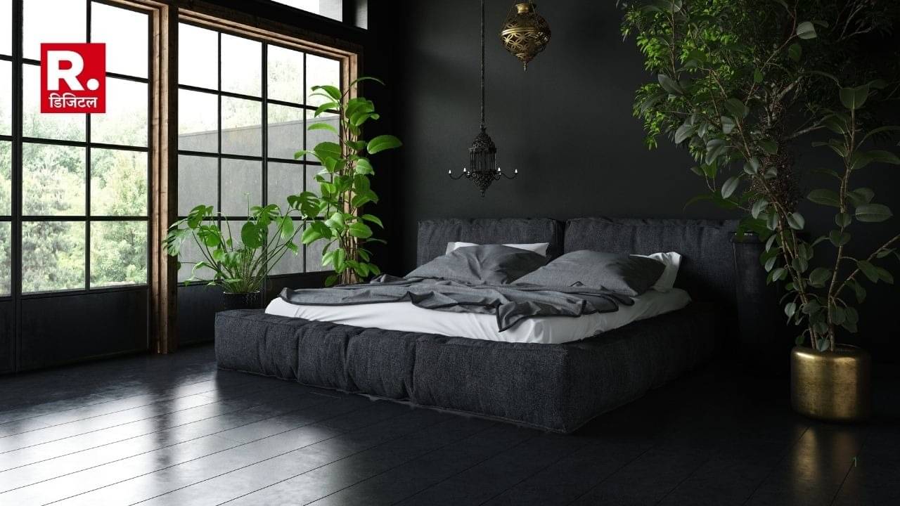 Description of the pic