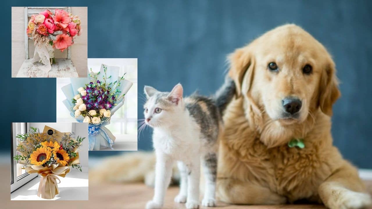 Before Gifting Flowers This Valentine’s Day, Make Sure They’re Safe For Your Pets