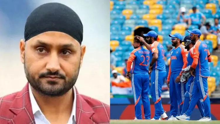 Harbhajan Singh, Team India