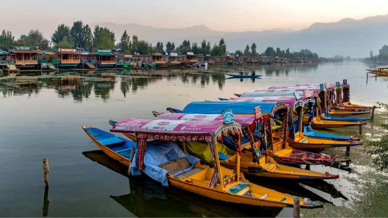 Dal Lake Refuses to Sink in Pahalgam Terror Attack Fear: Tourists Stay Defiant, Locals Stand Guard Dal Lake Refuses to Sink in Pahalgam Terror Attack Fear