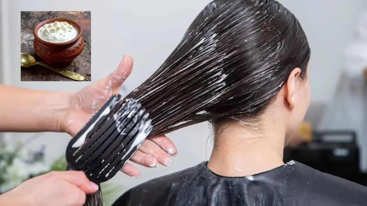 Hair Care Tips: कमजोर और रूखे बालों का घर पर ही मौजूद है सस्ता इलाज, दही लगाने से मिलेंगे मजबूत और चमकदार हेयर benefits of applying curd on hair