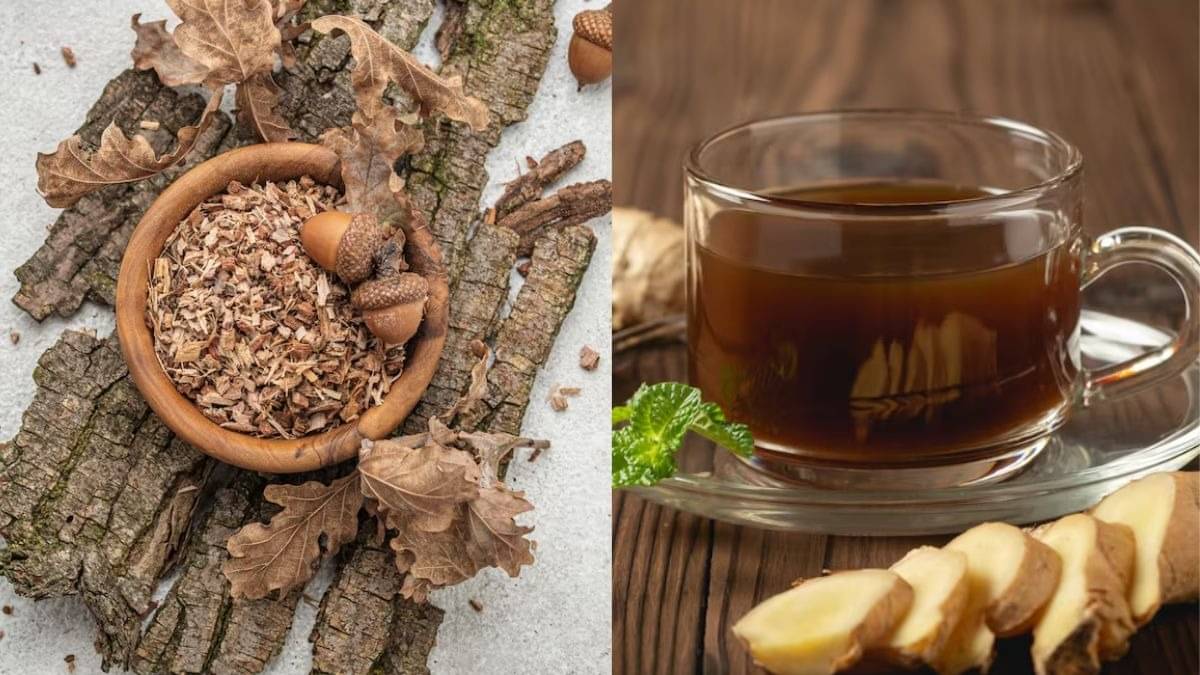 benefits of drinking arjun ki chhal kadha peene ke fayde to heart and how to control cholesterol also to manage blood pressure healthy and natural home remedy