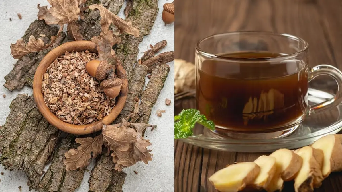 benefits of drinking arjun ki chhal kadha peene ke fayde to heart and how to control cholesterol also to manage blood pressure healthy and natural home remedy