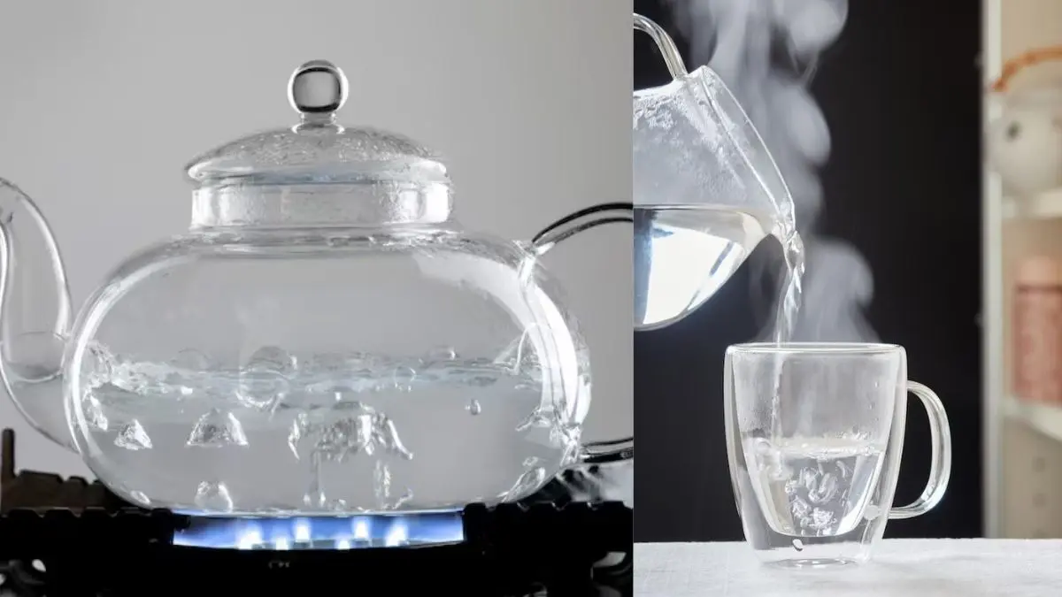 benefits of drinking lukewarm water in winter gunguna pani pine ke fayde garam pani pine ke fayde health tips